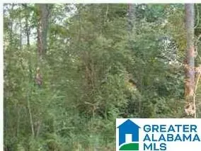 0 Lakeside Ln #00, Alpine, AL 35014