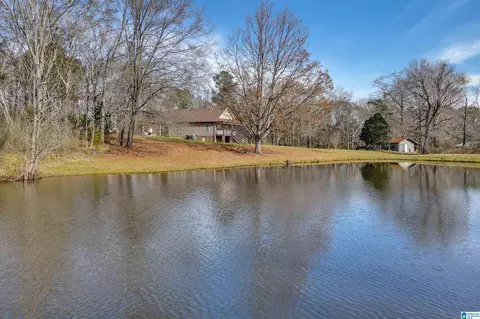 356 County Road 403, Clanton, AL 35045 photo 37