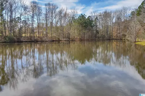 356 County Road 403, Clanton, AL 35045 photo 36