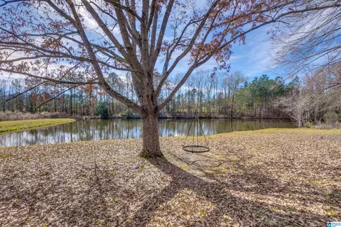 356 County Road 403, Clanton, AL 35045 photo 35