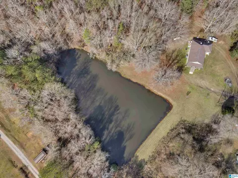 356 County Road 403, Clanton, AL 35045 photo 43