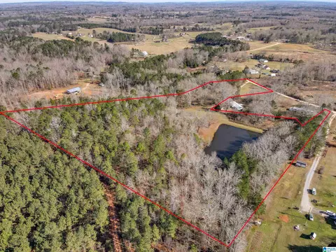 356 County Road 403, Clanton, AL 35045 photo 41