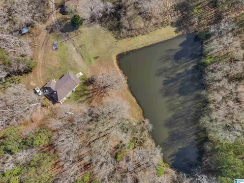 356 County Road 403, Clanton, AL 35045 photo 44