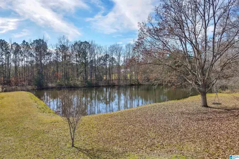 356 County Road 403, Clanton, AL 35045 photo 32
