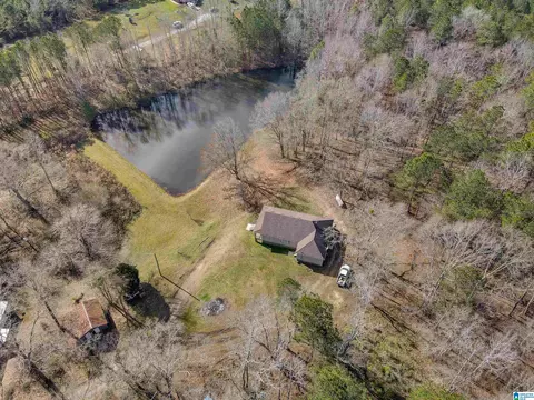 356 County Road 403, Clanton, AL 35045 photo 42