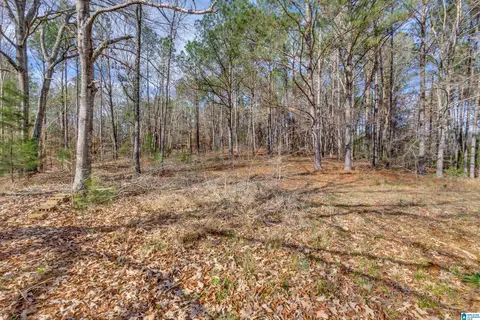 356 County Road 403, Clanton, AL 35045 photo 38