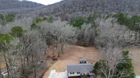 View/Area - 423 Spring Trl, Warrior, AL 35180 photo 3 of 5