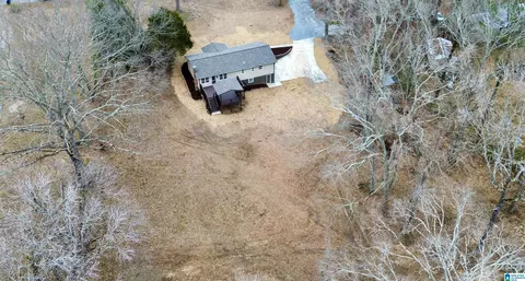 View/Area - 423 Spring Trl, Warrior, AL 35180 photo 2 of 5