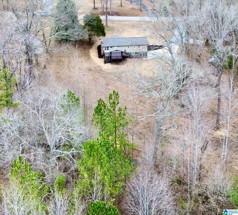 View/Area - 423 Spring Trl, Warrior, AL 35180 photo 5 of 5