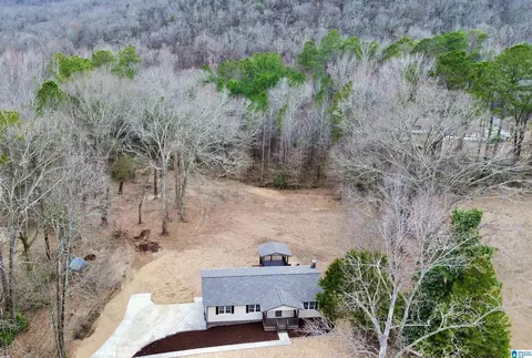 View/Area - 423 Spring Trl, Warrior, AL 35180 photo 1 of 5