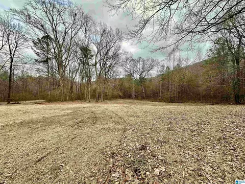 Exterior - 423 Spring Trl, Warrior, AL 35180 photo 9 of 20