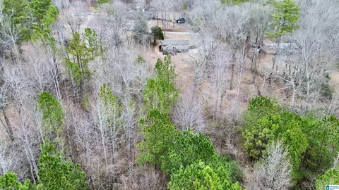 View/Area - 423 Spring Trl, Warrior, AL 35180 photo 4 of 5