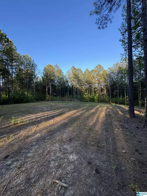 218 Foxtail Path #11-F, Westover, AL 35147