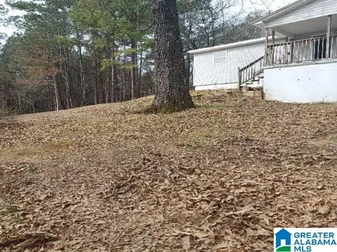 1481 Campbell Loop Rd, Mount Olive, AL 35117 photo 2
