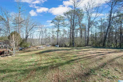 Exterior - 526 Dallas Loop Rd, Trafford, AL 35172 photo 8 of 11