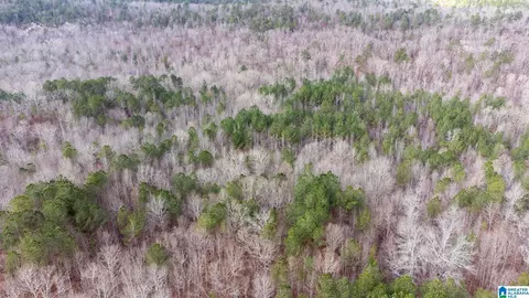 0 Cook Springs Rd #0, Odenville, AL 35120