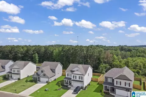 View/Area - 232 Shepherds Loop, Jasper, AL 35504 photo 1 of 1