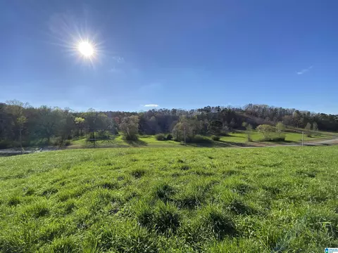 6423 Highway 174 #TRACT 4, Springville, AL 35146