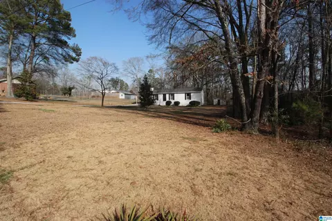 View/Area - 44 Blake St, Riverside, AL 35135 photo 1 of 1
