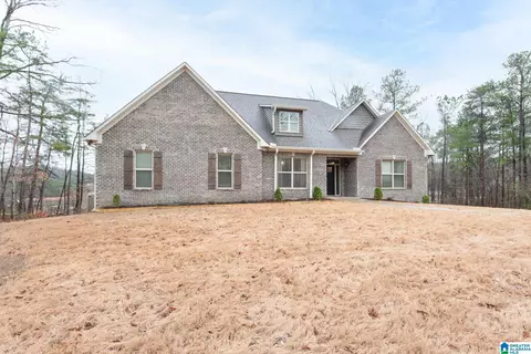 Exterior - 20719 Waters Vw, Mc Calla, AL 35111 photo 3 of 17