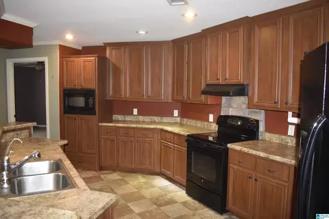 458 Valley View Ln, Remlap, AL 35133 photo 3