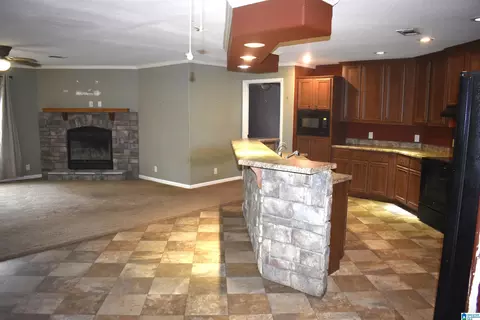 458 Valley View Ln, Remlap, AL 35133 photo 7