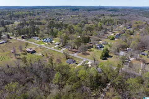 3645 Mount Olive Rd, Mount Olive, AL 35117 photo 30