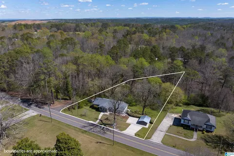 3645 Mount Olive Rd, Mount Olive, AL 35117 photo 4