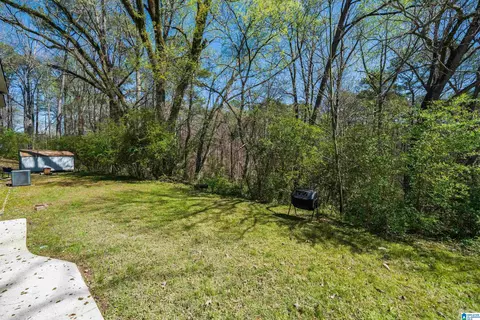 3645 Mount Olive Rd, Mount Olive, AL 35117 photo 26
