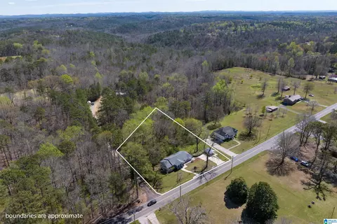 3645 Mount Olive Rd, Mount Olive, AL 35117 photo 6
