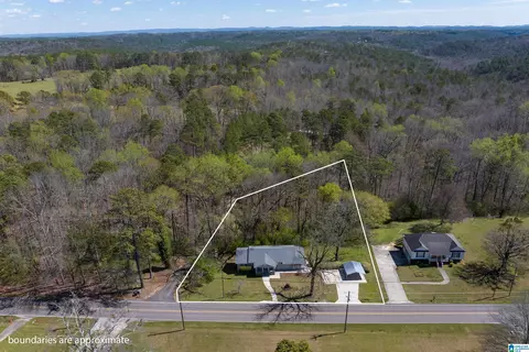 3645 Mount Olive Rd, Mount Olive, AL 35117 photo 5