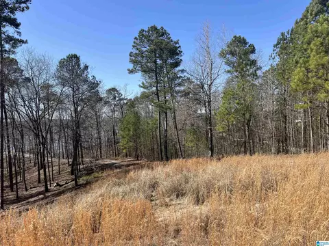 shoreside lane, Sylacauga, AL 35151