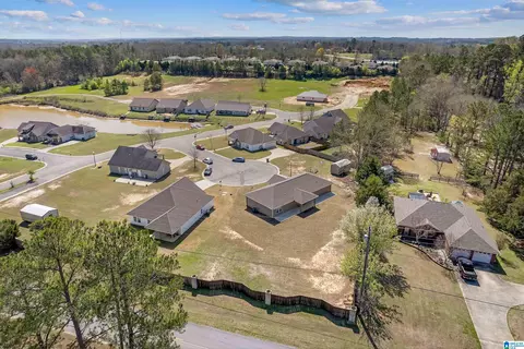 16 Spring Ct, Clanton, AL 35045 photo 36