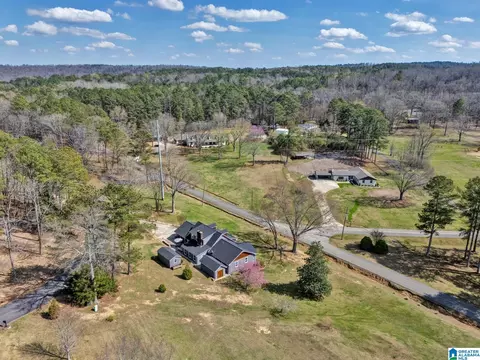 55 Oakview Dr, Oneonta, AL 35121 photo 48