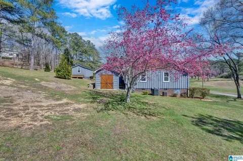 55 Oakview Dr, Oneonta, AL 35121 photo 43