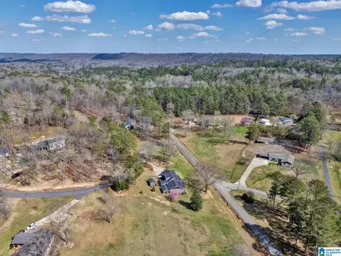 55 Oakview Dr, Oneonta, AL 35121 photo 47
