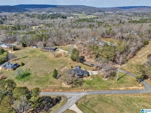 55 Oakview Dr, Oneonta, AL 35121 photo 53