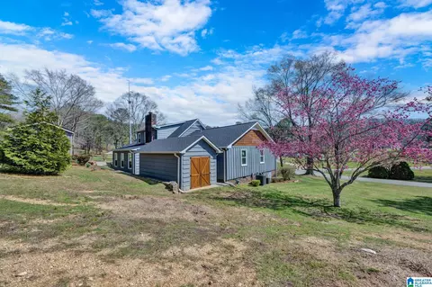 55 Oakview Dr, Oneonta, AL 35121 photo 41