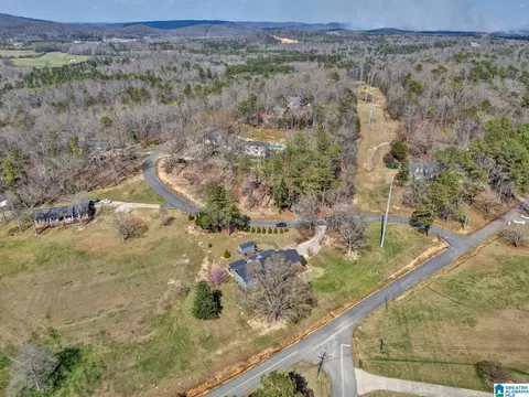 55 Oakview Dr, Oneonta, AL 35121 photo 49