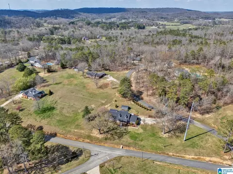 55 Oakview Dr, Oneonta, AL 35121 photo 50