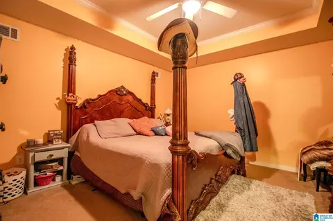 345 Panoramic Cir, Warrior, AL 35180 photo 9