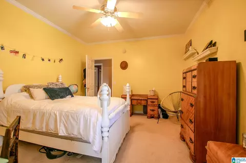 345 Panoramic Cir, Warrior, AL 35180 photo 21