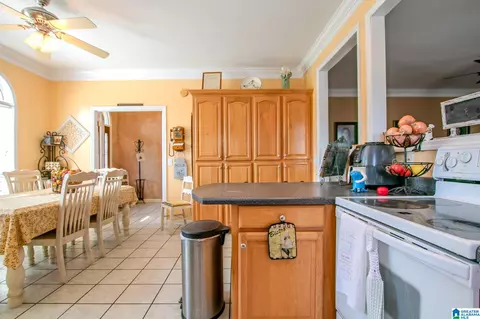 345 Panoramic Cir, Warrior, AL 35180 photo 36