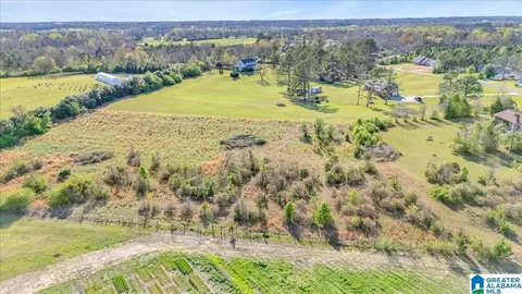 5145 County Road 43, Clanton, AL 35045 photo 34