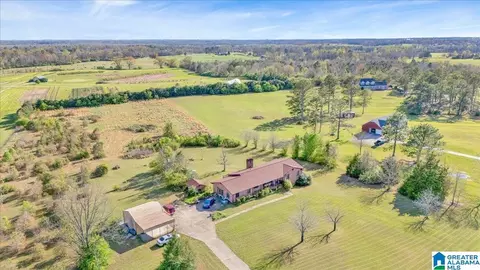 5145 County Road 43, Clanton, AL 35045 photo 33