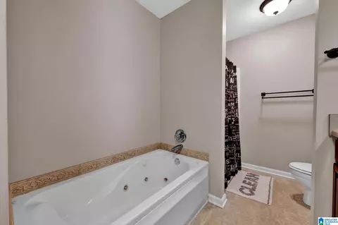 Bath - 2995 Mount Olive Rd, Mount Olive, AL 35117 photo 1 of 4