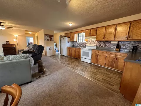 Living - 55 Thach Loop, Jasper, AL 35503 photo 2 of 3