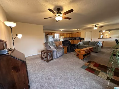 Living - 55 Thach Loop, Jasper, AL 35503 photo 3 of 3