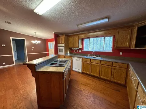 76 Beechwood Rd, Jasper, AL 35503 photo 9