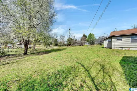 52 Old Bryan Rd, Sumiton, AL 35148 photo 24